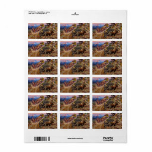 Bruin Not Bunny Turned the Leaders,1924 by Russell Etiket