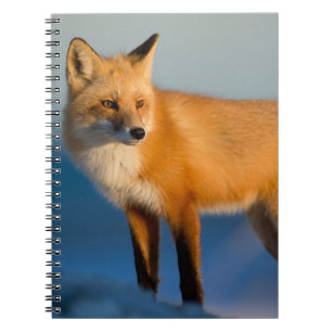 Bruin Notitieboek