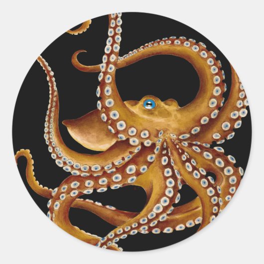 Bruin Octopus Blue Eye Black Art Ronde Sticker (Voorkant)
