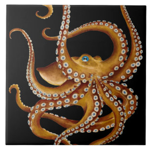 Bruin Octopus Blue Eye Black Art Tegeltje