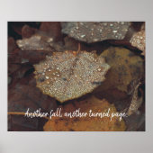 Bruin omgevallen bladeren na regen poster (Voorkant)