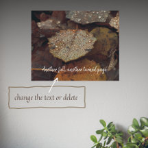 Bruin omgevallen bladeren na regen