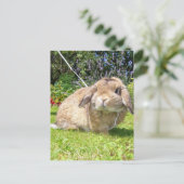 Bruin omhulde oorkonijn met lavendel briefkaart (Staand voorkant)