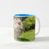Bruin omhulde oorkonijn met lavendel tweekleurige koffiemok (Voorkant rechts)