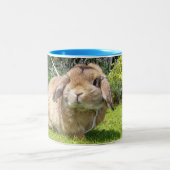 Bruin omhulde oorkonijn met lavendel tweekleurige koffiemok (Center)