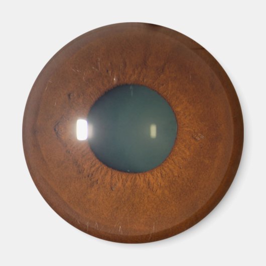 Bruin oog magneet (Voorkant)
