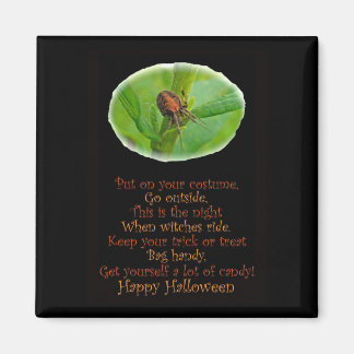 Bruin Oranje Araneus Halloween Magnet