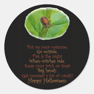 Bruin Oranje Araneus Halloween Sticker
