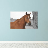 Bruin Paard, B&W Achtergrond Canvas Afdruk (Insitu (Houten vloer))