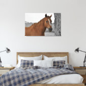Bruin Paard, B&W Achtergrond Canvas Afdruk (Insitu (Slaapkamer))