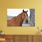 Bruin Paard, B&W Achtergrond Canvas Afdruk (Insitu (Woonkamer))