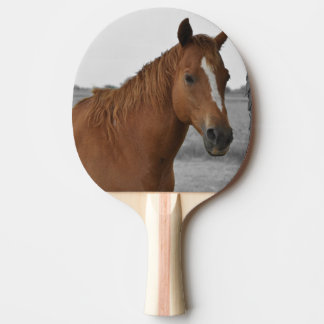 Bruin Paard, B&W Achtergrond Ping Pong Bat Tafeltennisbatje