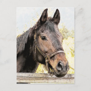 Bruin paard briefkaart