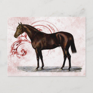 Bruin paard briefkaart