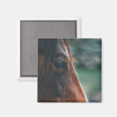 Bruin Paard Close-up Magneet (Voorkant / Achterkant)
