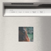 Bruin Paard Close-up Magneet (Insitu (Vaatwasser))