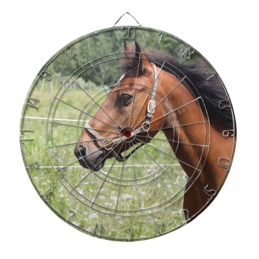 Bruin paard dartbord (Voorkant)