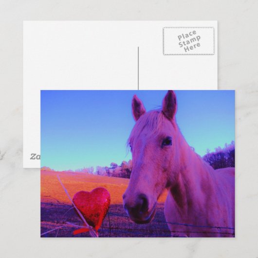 Bruin paard en rood hart briefkaart (Voorkant / Achterkant)