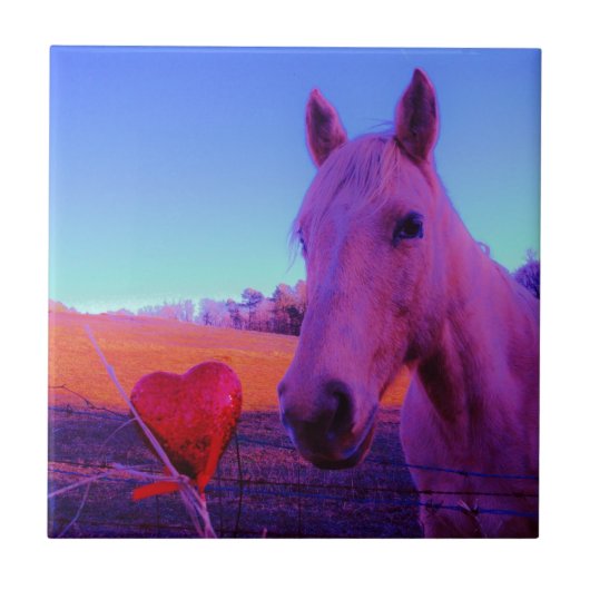 Bruin paard en rood hart tegeltje (Voorkant)