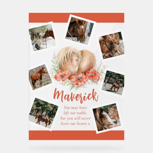 Bruin paard gedenkteken klaprozen waterverf foto acryl bord (Voorkant)