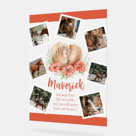 Bruin paard gedenkteken klaprozen waterverf foto acryl bord (Hoek)