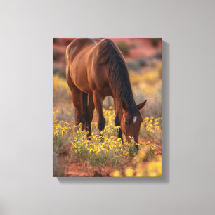 Bruin Paard Gele Wilde Bloem Woestijn Kunst Canvas Afdruk