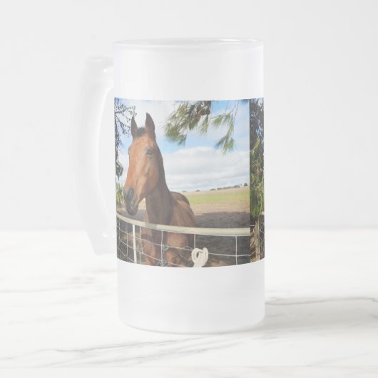 Bruin paard genaamd Tulip, Matglas Bierpul (Voorkant links)