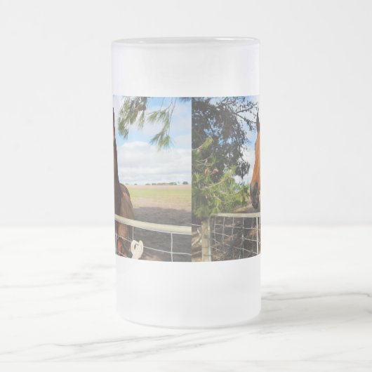 Bruin paard genaamd Tulip, Matglas Bierpul (Center)