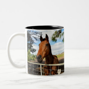 Bruin paard genaamd Tulip, Tweekleurige Koffiemok