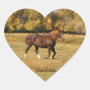 Bruin paard hart sticker