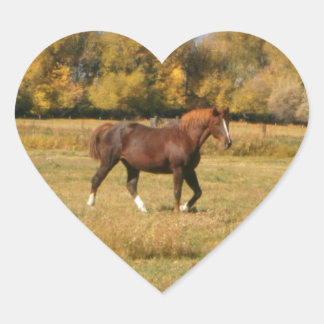 Bruin paard hart sticker