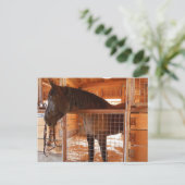 Bruin paard in Barn bij Epoch Estates Winery Briefkaart (Staand voorkant)