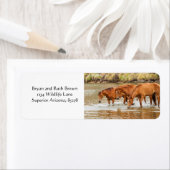 Bruin paard in de rivier etiket (Insitu)