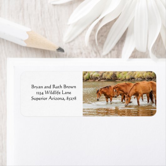 Bruin paard in de rivier etiket (Insitu)