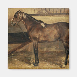 Bruin paard in de Stabiele watervallen Magneet