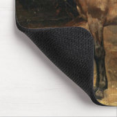 Bruin paard in de Stabiele watervallen Muismat (Hoek)