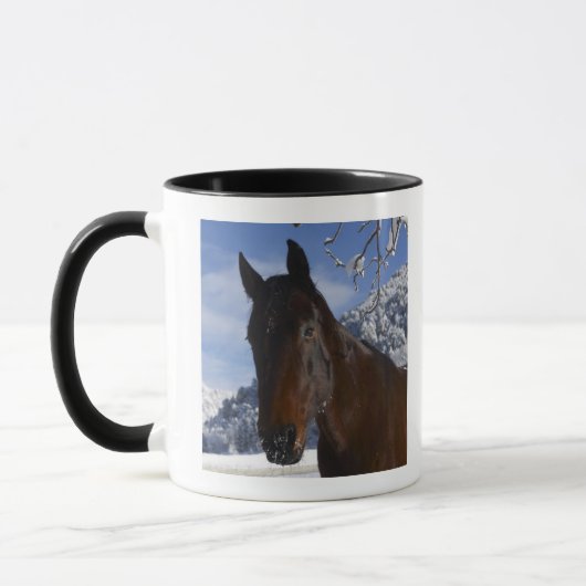 Bruin paard in de winter mok (Links)