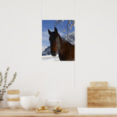 Bruin paard in de winter poster (Keuken)