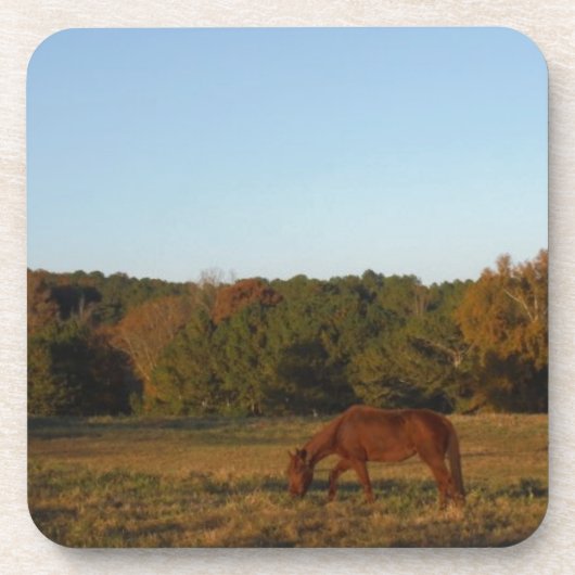 Bruin paard in de zon drankjes onderzetter (Voorkant)