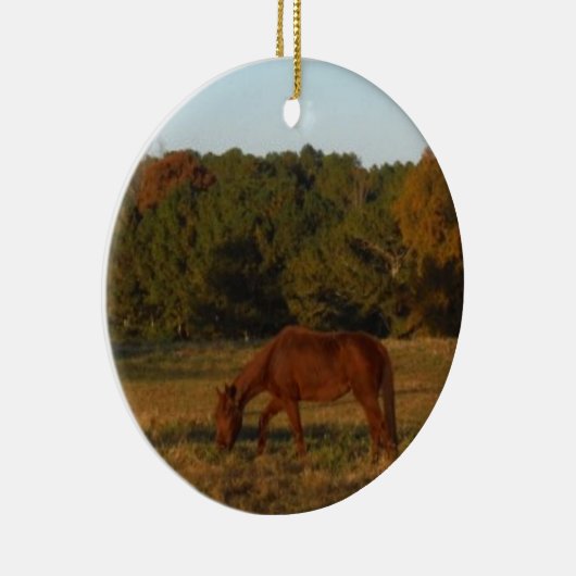 Bruin paard in de zon keramisch ornament (Rechts)