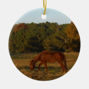Bruin paard in de zon keramisch ornament