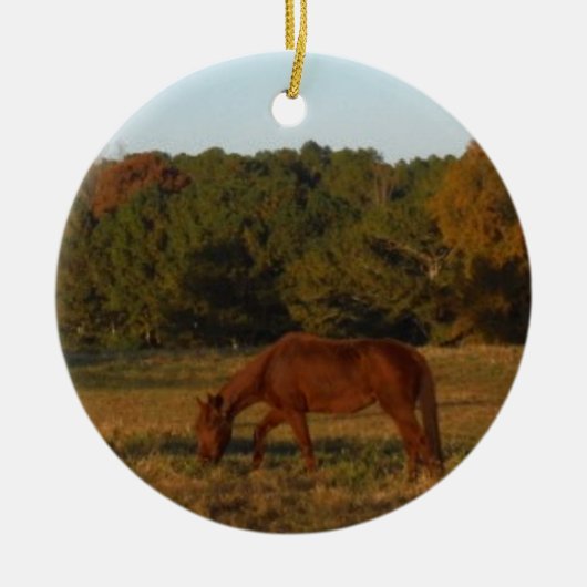Bruin paard in de zon keramisch ornament (Voorkant)