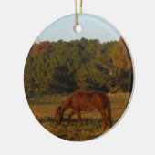 Bruin paard in de zon keramisch ornament (Links)