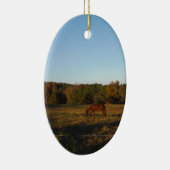 Bruin paard in de zon keramisch ornament (Rechts)