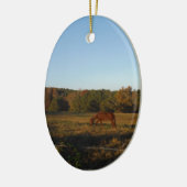 Bruin paard in de zon keramisch ornament (Links)