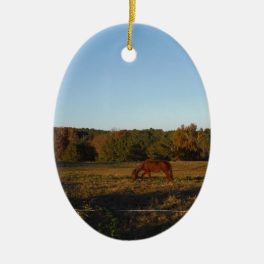 Bruin paard in de zon keramisch ornament (Voorkant)