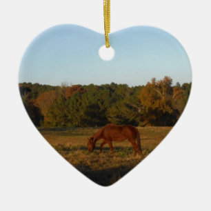 Bruin paard in de zon keramisch ornament