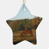 Bruin paard in de zon keramisch ornament (Links)