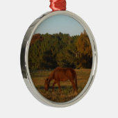 Bruin paard in de zon metalen ornament (Rechts)