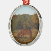 Bruin paard in de zon metalen ornament (Links)